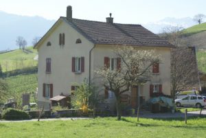 maison